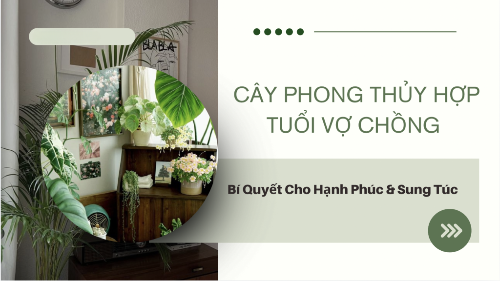 Tìm hiểu về ngũ hành và mệnh chọn cây phong thủy hợp tuổi vợ chồng