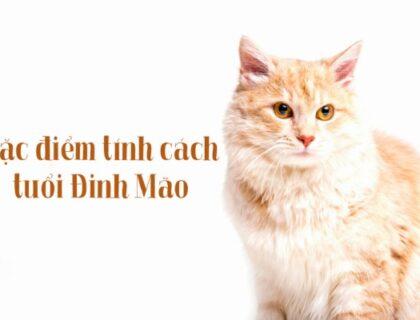 Đặc điểm tính cách người sinh năm 1987 mệnh Hỏa