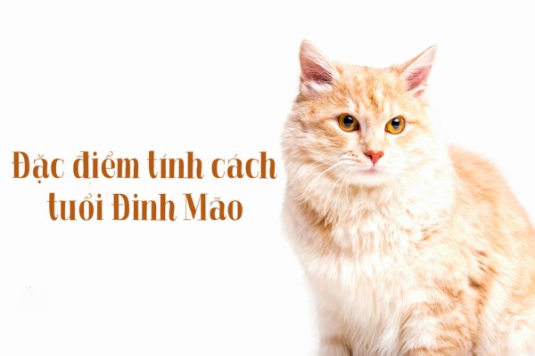 Đặc điểm tính cách người sinh năm 1987 mệnh Hỏa