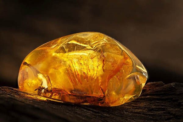 Hổ phách (Amber)