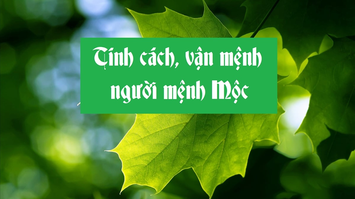 Đặc điểm, tính cách của người mệnh Mộc